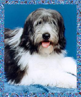 Sinclair's Anastazja "Best in Match"