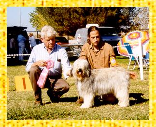 Best in Match - Rare Breed