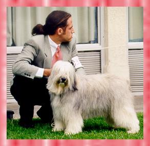 Elzbieta's Isa z Sinclair: BIS x 2