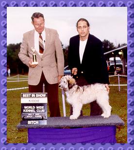 Best in Show - Kiddie Bitch