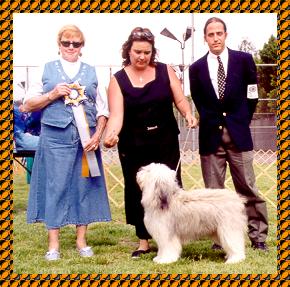 Elzbieta's Isa z Sinclair: BIS ARBA Southern California Classic