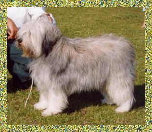 Elzbieta's Isa z Sinclair