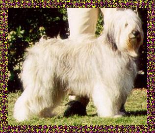 Elzbieta's Isa z Sinclair