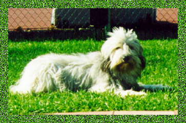 Elzbieta's Isa z Sinclair