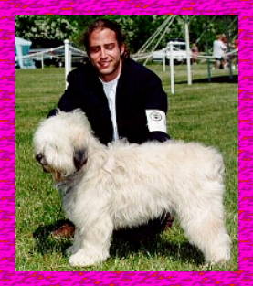 New ARBA Jr. Ch. Elzbieta's Isa z Sinclair - 11 months old