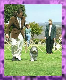 Lizzie front 2 SD 99.JPG (24038 bytes)