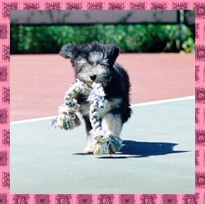 Elzbieta's A Star Is Born