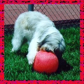 Sacha at 2 1/2 years old