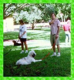 Betcinea's Sacha at Obedience class
