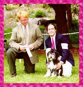 Best in Show - Jr. Puppy