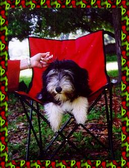 Elzbieta's A Star Is Born