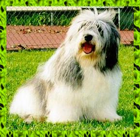 limeblk.JPG (24756 bytes)